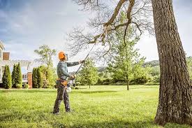 Best Landscape Design and Installation  in Orosi, CA